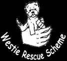 Westie Rescue Scheme UK